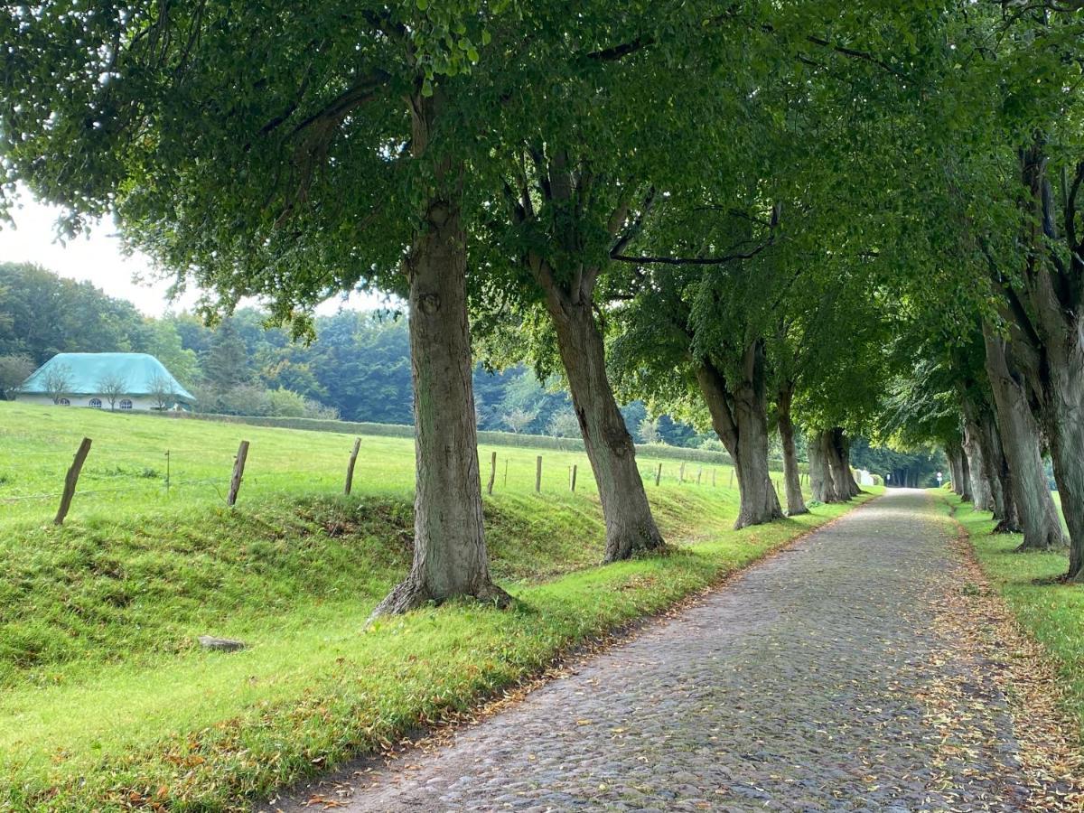 Ferienwohnungen Arkonablick Lohme Dış mekan fotoğraf